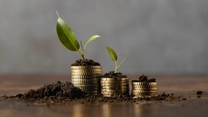Investment Club or SACCO: Finding the right fit