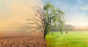 How Africa is Combating Climate Change