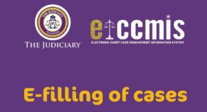 Court Slams Lawyers for Over-Relying on Electronic Case Management System