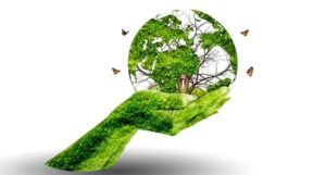 Montana Supreme Court Upholds Groundbreaking Climate Lawsuit